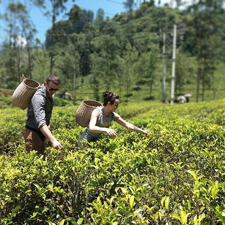 Gk Villa Nuwara Eliya Bagian luar foto