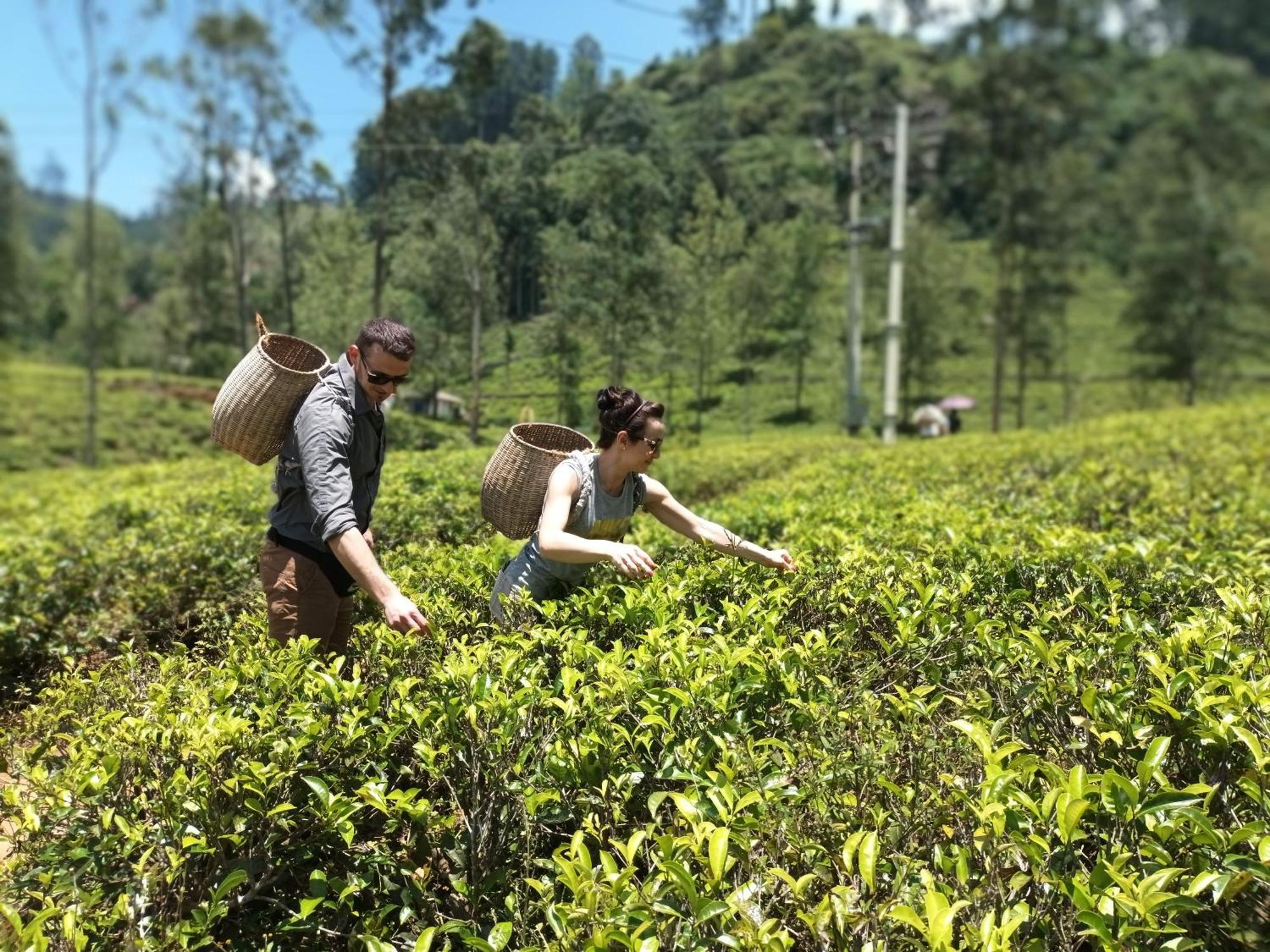 Gk Villa Nuwara Eliya Bagian luar foto